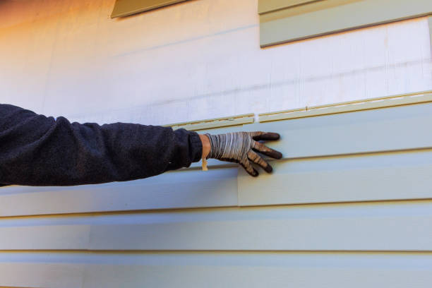 Affordable Siding Repair and Maintenance Services in Kennedy, CA